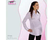 ������ 2077, ���� 410-00