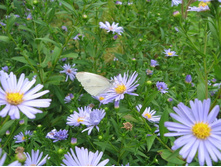 ������������� ����� �.jpg