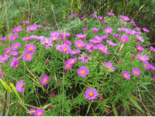 ������������� ����� �.jpg