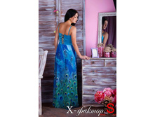 X-������ ������.jpg