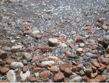 DSCN3950.JPG