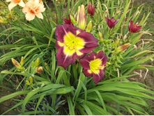 �������� 90 ���.jpg