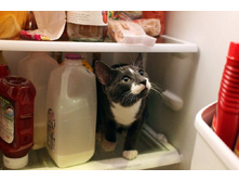 ��� ���Σ�?