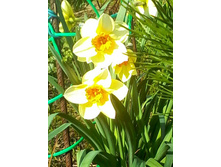 ������� 2.jpg