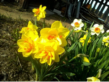 ������� 3.jpg