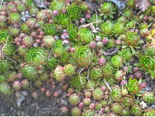 ������ �� 30 �.jpg