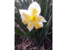 ������� 4.jpg