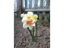 ������� 6.jpg