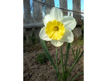 ������� 7.jpg