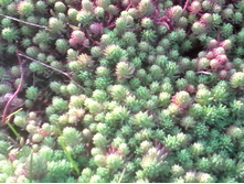 ������ ��������� 20�.jpg