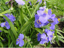 ������������