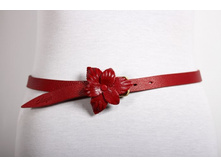 F01-20_315 ���