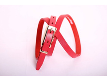 K16-15_200 ���