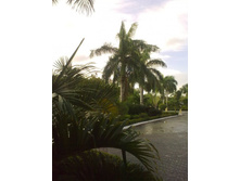 ������������� ����������