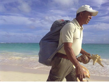 ������������� ����������