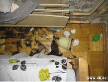 �������� �����