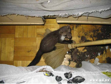 ������ �ݣ � �� ������ ������!