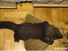 ������... :))