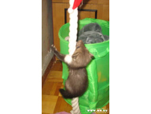 �� ������