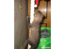 �������� :)))