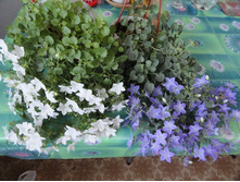 �������- �����- ������ ��������.....