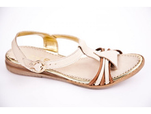 306.jpg  790 ���