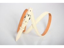 DX06-15_160 ���