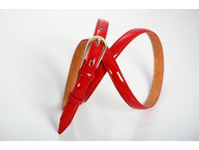 DX15-15_160 ���