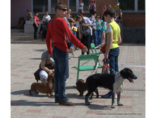 019-DSC_2909.jpg