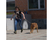 040-DSC_2955.jpg