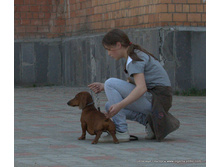 050-DSC_2969.jpg