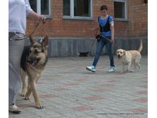 083-DSC_3038.jpg