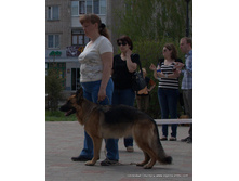 103-DSC_3108.jpg