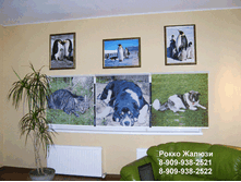 11 �������.gif