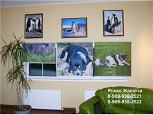 11 ����������.jpg