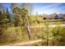 20130509-DSC08796.jpg