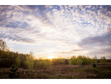 20130509-DSC08963.jpg