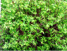 ��������� � �����.JPG