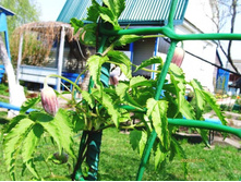 ������ � ��������.JPG