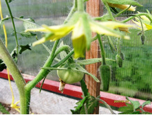 ������ �������.JPG