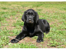 ��� ���1.jpg