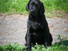 ��� ���.jpg