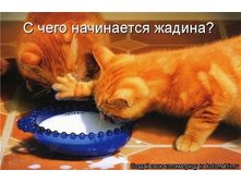 � ���� ���������� ������ ...