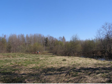 ������ � ������ ������