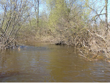 ���� � ������ ��������