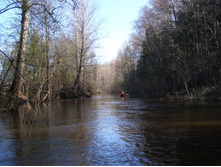 ����������� ������� ���� ���� ������������ �����, �� ������ �����