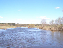 ���� � ������ �.�.���