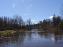 ���� ����� �/� �����