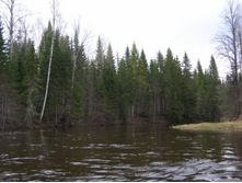 ����������� ������� ����