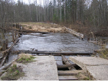 ������ ���� �� ���������